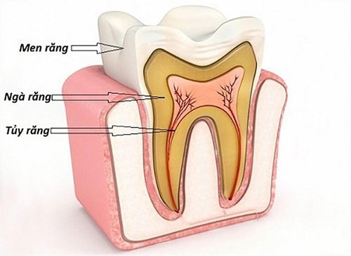 Trám răng lấy tủy giá bao nhiêu tiền tại nha khoa? 2